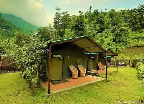 Camping in Rishikesh