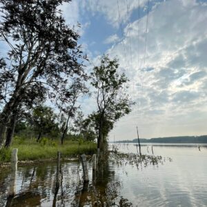 Towards packages (Silver)